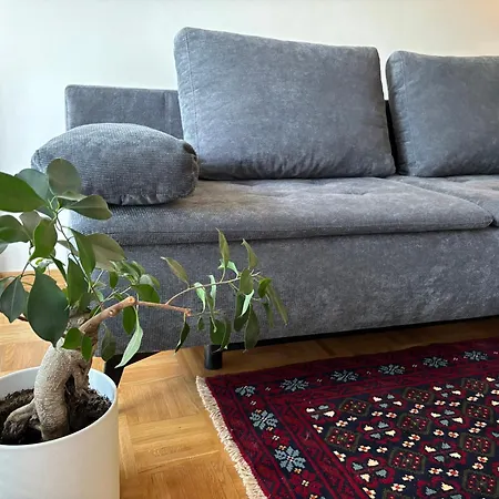 Ljubljanica ليوبليانا