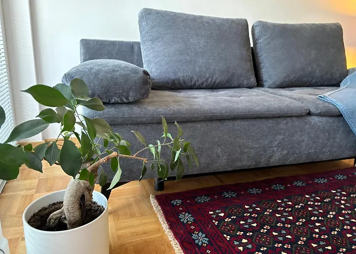 Ljubljanica Ljubljana