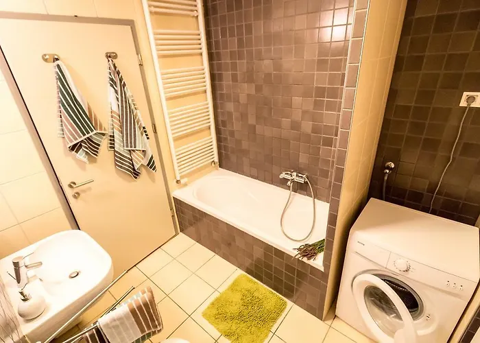 Ljubljanica ليوبليانا