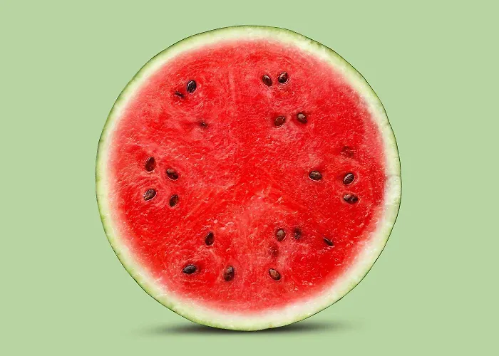 Apartma Ljubljanica Ljubljana